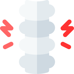 columna vertebral icono