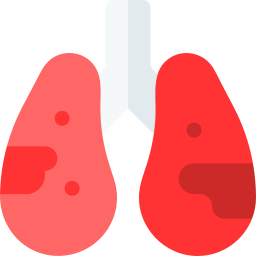 pulmones icono