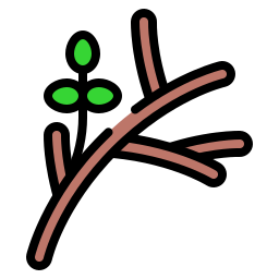 植物 icon