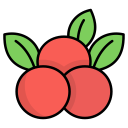 Fruit icon