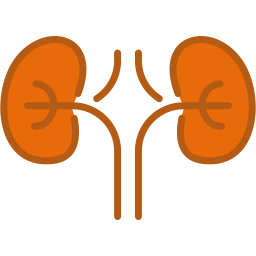 nephrologie icon