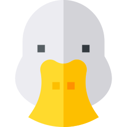 Duck icon