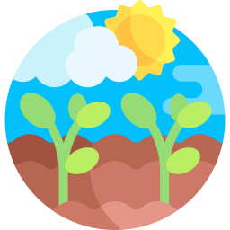 Plant icon