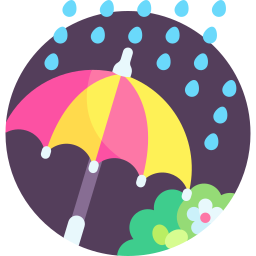 Umbrella icon