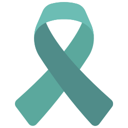 Ribbon icon