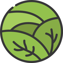 Vegetable icon