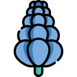 lupine icon