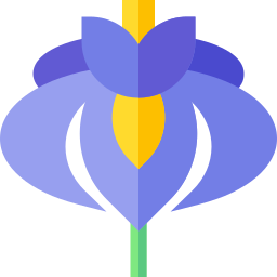 Iris icono