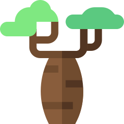 Baobá Ícone