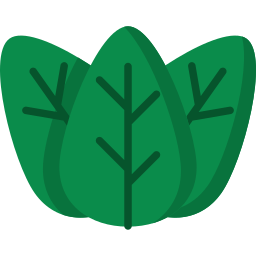 Leaf icon