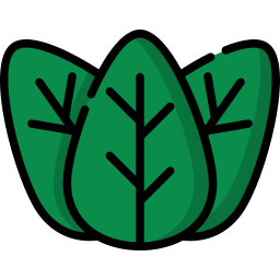 Leaf icon