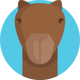 Camello icono