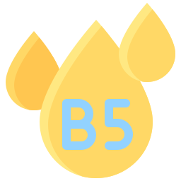 b5 icoon
