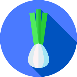 Onion icon