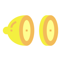 Limão Ícone