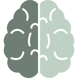 Brain icon