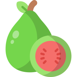 Guava icon