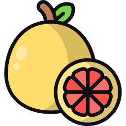 Grapefruit icon