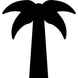 palmeira simétrica Ícone