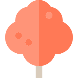 Maple icon