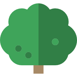 Oak icon