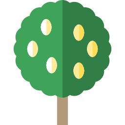 citroenboom icoon