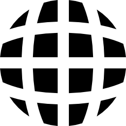 세계적인 icon