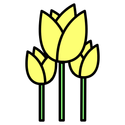 tulpen icon