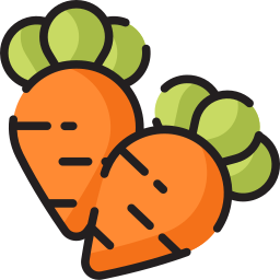 Carrot icon