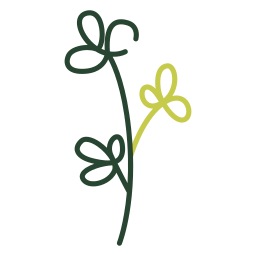 Blossom flower icon