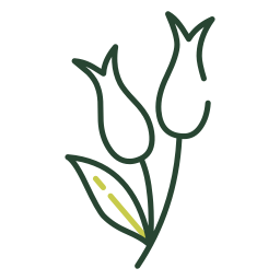 スノードロップの花 icon