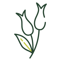 Snowdrop flower icon