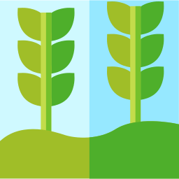 Plants icon