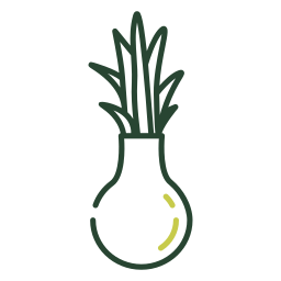 blumenvase icon