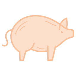 cochon Icône