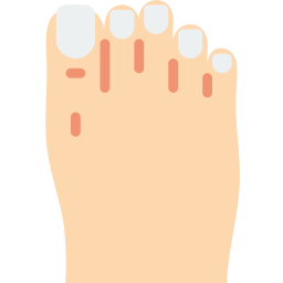 romeinse voet icoon