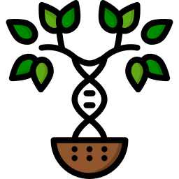 árbol familiar icono