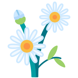 Daisy flower icon