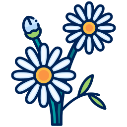 Daisy flower icon