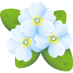 English primrose icon