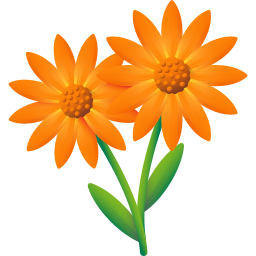 calendula wintersonne icon