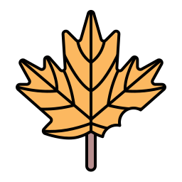 Leaf icon