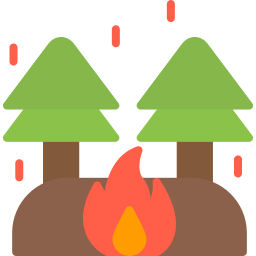 Fire icon