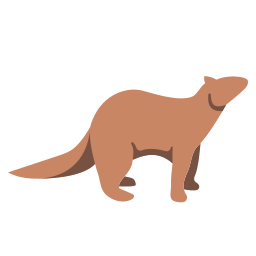 Ferret icon