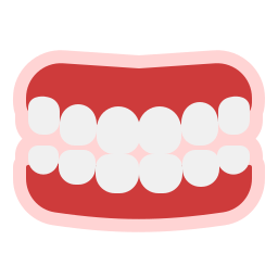 dentadura postiza icono