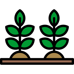plantación icono