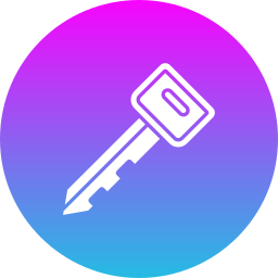 Car key icon