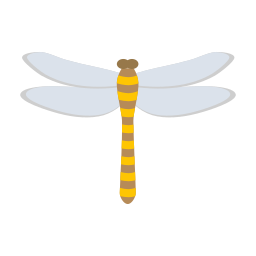 Dragonfly icon