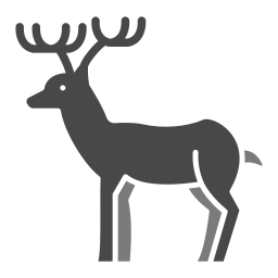 cerf Icône