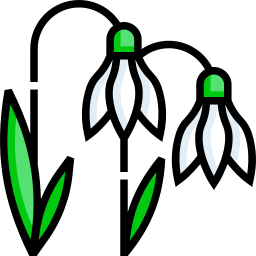 Snowdrop icon